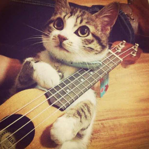 扶她社登录入口官网
